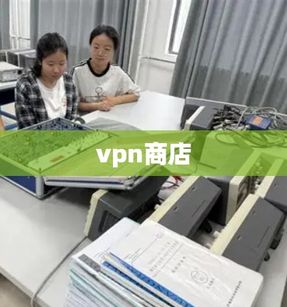 vpn商店